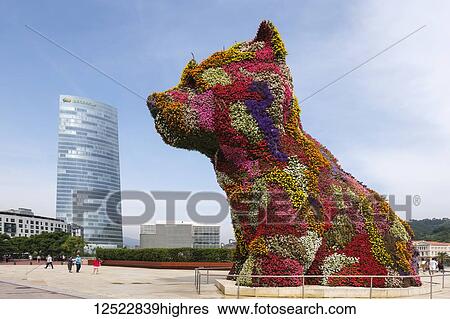 The Puppy, a floral sculpture by Jeff Koons, with Iberdrola Tower in background, Guggenheim Museum; Bilbao, Vizcaya, Pais Vasco, Spain View Large Photo Image Stock Photograph - The Puppy, a floral sculpture by Jeff Koons, with Iberdrola Tower in background, Guggenheim Museum; Bilbao, Vizcaya, Pais Vasco, Spain. Fotosearch