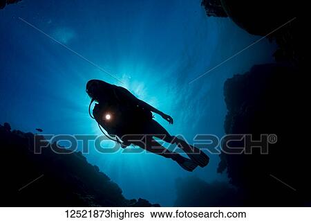 Stock Photograph - The silhouette of a diver in front of the sun, from below looking up at the surface; Yap, Micronesia. Fotosearch