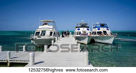 Stock Photograph - Tour boats moored along a dock in the Caribbean; Belize. Fotosearch