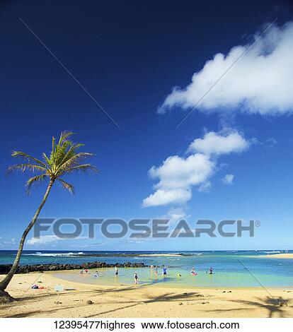 Stock Photograph - Tourists playing in the shallow water along the coast of the Island of Hawaii; Haene, Island of Hawaii, Hawaii, United States of America. Fotosearch