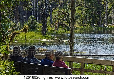 Stock Photograph - Tourists relaxing on a viewing bench overlooking a pond along Forest Trail near Bartlett Cove, Glacier Bay National Park and Preserve, Southeast Alaska; Alaska, United States of America. Fotosearch