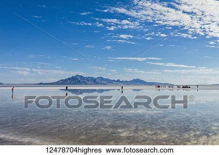 Tourists walk in inches deep salt water near Bonneville Salt Flats; Wendover, Utah, United States of America View Large Photo Image Stock Photograph - Tourists walk in inches deep salt water near Bonneville Salt Flats; Wendover, Utah, United States of America. Fotosearch