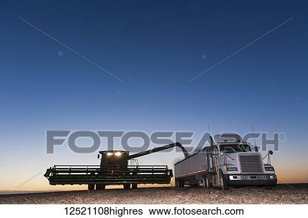 Stock Photograph - Twilight scene of combine unloading beans into grain truck during soybean harvest, near Nerstrand; Minnesota, United States of America. Fotosearch