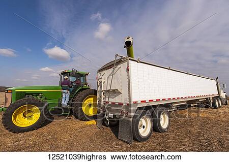 Stock Photograph - Two farmers discuss harvest during corn harvest, near Nerstrand; Minnesota, United States of America. Fotosearch