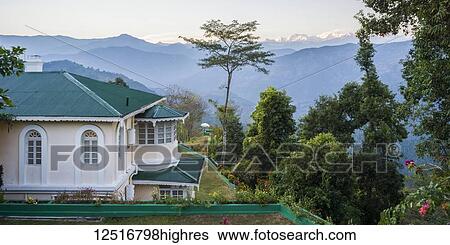 Stock Photograph - View from Glenburn Tea Estate, a heavenly little plantation retreat that lies on a hillock above the banks of the River Rungeet, high in the Himalayas, overlooked by the mighty Kanchenjunga mountain range; Singringtam, West Bengal, India. Fotosearch