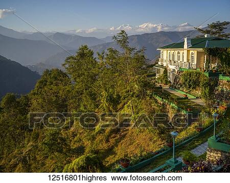 Stock Photograph - View from Glenburn Tea Estate, a heavenly little plantation retreat that lies on a hillock above the banks of the River Rungeet, high in the Himalayas, overlooked by the mighty Kanchenjunga mountain range; Singringtam, West Bengal, India. Fotosearch