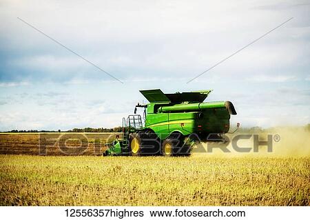 Stock Photograph - View from the side of a combine harvesting canola; Legal, Alberta, Canada. Fotosearch