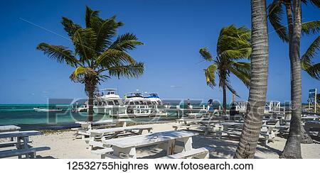 White sand beach with picnic tables and moored boats in the Caribbean; Belize View Large Photo Image Stock Photograph - White sand beach with picnic tables and moored boats in the Caribbean; Belize. Fotosearch