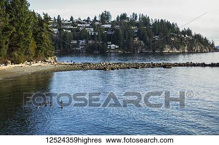 Whytecliff Park, Horseshoe Bay; British Columbia, Canada View Large Photo Image Stock Photograph - Whytecliff Park, Horseshoe Bay; British Columbia, Canada. Fotosearch