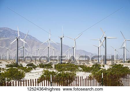 Wind farm just outside of Palm Springs; California, United States of America View Large Photo Image Stock Photograph - Wind farm just outside of Palm Springs; California, United States of America. Fotosearch