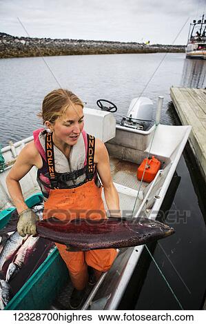 Woman delivering salmon to the dock from her set-net skiff, Seldovia, South-central Alaska; Alaska, United States of America View Large Photo Image Stock Photograph - Woman delivering salmon to the dock from her set-net skiff, Seldovia, South-central Alaska; Alaska, United States of America. Fotosearch