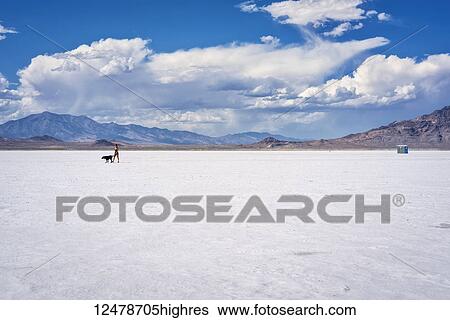 Stock Photograph - Woman walks her dog on Bonneville Salt Flats; Wendover, Utah, United States of America. Fotosearch