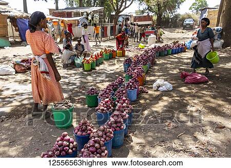 Stock Photograph - Women selling onions, Koka Reservoir (Lake Gelila); Oromia Region, Ethiopia. Fotosearch