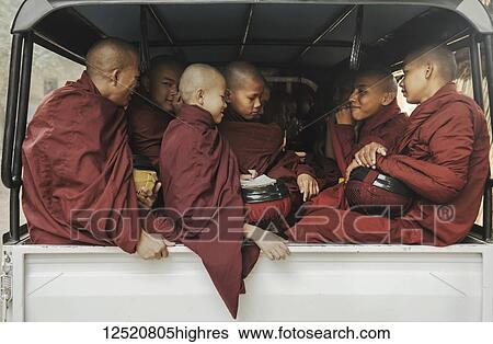 Young monks sitting close together in the back of a vehicle; Myanmar View Large Photo Image Stock Photograph - Young monks sitting close together in the back of a vehicle; Myanmar. Fotosearch