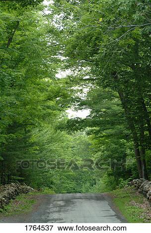 A beautiful pathway View Large Photo Image Stock Photo - A beautiful pathway. Fotosearch