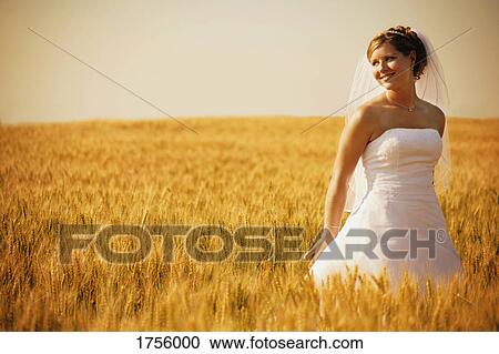 A bride in a field of wheat View Large Photo Image Stock Image - A bride in a field of wheat. Fotosearch