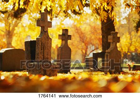A graveyard View Large Photo Image Stock Image - A graveyard. Fotosearch