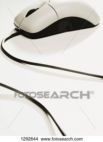 A mouse for a computer View Large Photo Image Picture - A mouse for a computer. Fotosearch