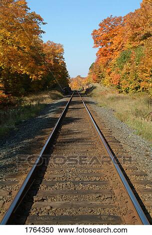 A railroad View Large Photo Image Stock Image - A railroad. Fotosearch