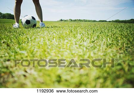 A soccer ball View Large Photo Image Stock Photograph - A soccer ball. Fotosearch