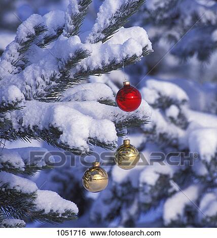 A tree covered in snow with Christmas ornaments View Large Photo Image Stock Photograph - A tree covered in snow with Christmas ornaments. Fotosearch
