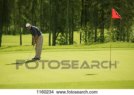 Aligning the putt View Large Photo Image Picture - Aligning the putt. Fotosearch