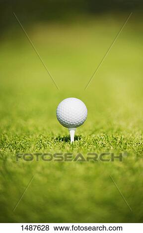 Ball ready for tee off View Large Photo Image Stock Photo - Ball ready for tee off. Fotosearch
