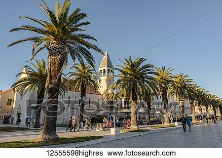 Church of St Dominic and promenade in the historical city of Trogir; Trogir, Croatia View Large Photo Image Stock Photograph - Church of St Dominic and promenade in the historical city of Trogir; Trogir, Croatia. Fotosearch