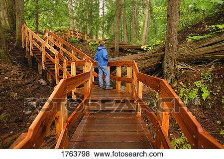Enjoying a hike View Large Photo Image Stock Photo - Enjoying a hike. Fotosearch