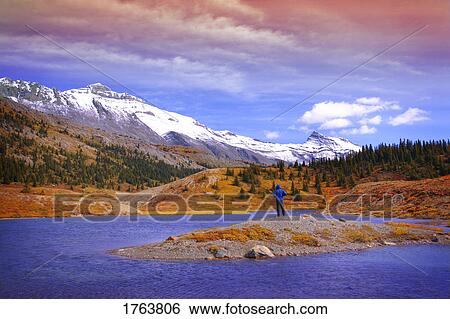 Enjoying the view Columbia Ice fields Jasper National Park Alberta View Large Photo Image Stock Photograph - Enjoying the view Columbia Ice fields Jasper National Park Alberta. Fotosearch