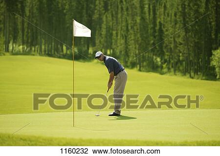 Going for the birdie View Large Photo Image Stock Image - Going for the birdie. Fotosearch