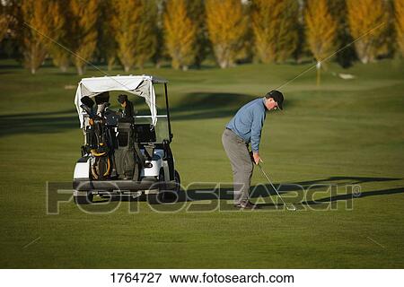 Stock Photo - Golfer makes a chip. Fotosearch
