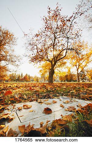 Stock Photography - Grave in autumn. Fotosearch