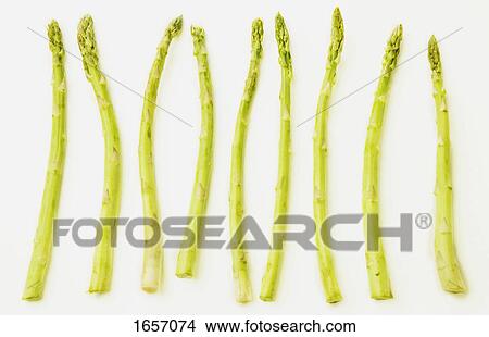 Group of asparagus View Large Photo Image Picture - Group of asparagus. Fotosearch