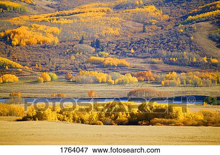 Stock Photo - Hillside at autumn. Fotosearch