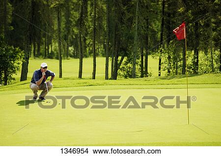 Lining up for the putt View Large Photo Image Picture - Lining up for the putt. Fotosearch