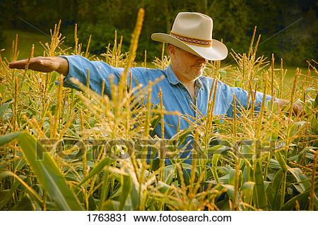 Stock Image - Man in field. Fotosearch