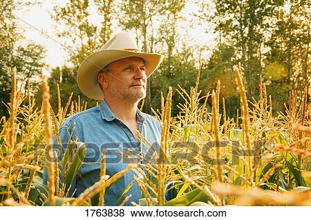 Man stands in field View Large Photo Image Stock Photo - Man stands in field. Fotosearch