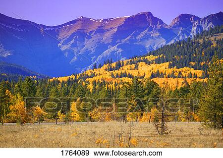 Mountain and tree scenery View Large Photo Image Stock Photo - Mountain and tree scenery. Fotosearch