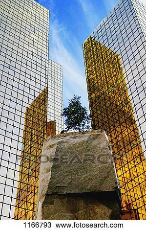Stock Image - Office towers and a small tree. Fotosearch