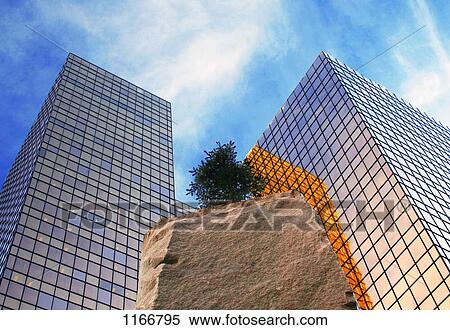 Stock Photography - Office towers and a tree. Fotosearch