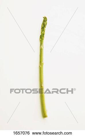 Stock Photograph - One asparagus. Fotosearch