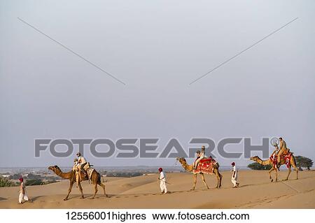 Stock Photograph - People riding with camels in the desert at sunset; Rajasthan, India. Fotosearch