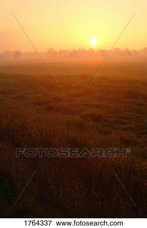 Sunrise over a field View Large Photo Image Stock Photo - Sunrise over a field. Fotosearch