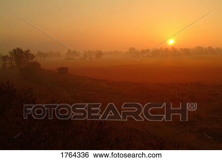 Sunrise over a field View Large Photo Image Stock Photograph - Sunrise over a field. Fotosearch