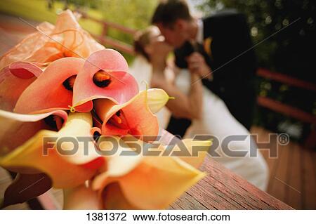 The dip View Large Photo Image Stock Image - The dip. Fotosearch