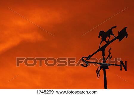 Stock Photo - The direction of the wind. Fotosearch