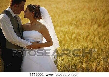Wedding couple in a field of wheat View Large Photo Image Stock Image - Wedding couple in a field of wheat. Fotosearch
