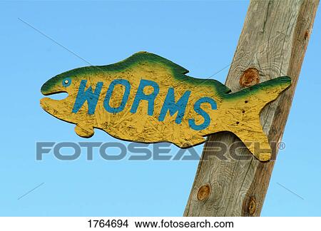 Worms for sale View Large Photo Image Picture - Worms for sale. Fotosearch