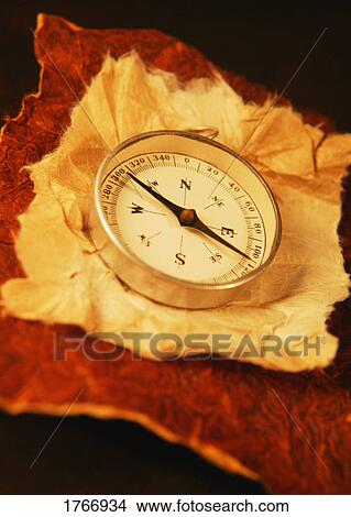 Picture - A compass. Fotosearch